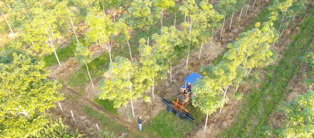 Arbeiter und Plantagenwagen von Timberfarm