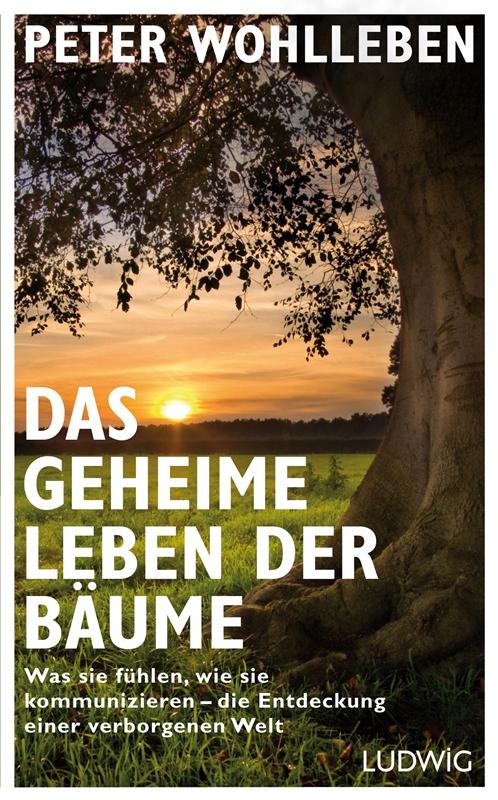 Buchdeckel Peter Wohlleben: Das geheime Leben der Bäume